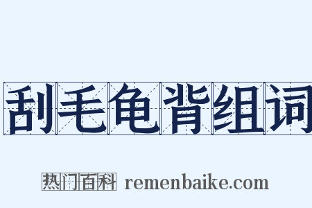 刮毛龟背组词是什么意思的图片